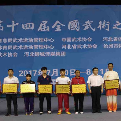 第十四届全国武术之乡武术套路比赛